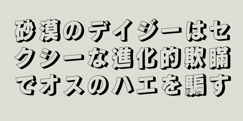 砂漠のデイジーはセクシーな進化的欺瞞でオスのハエを騙す