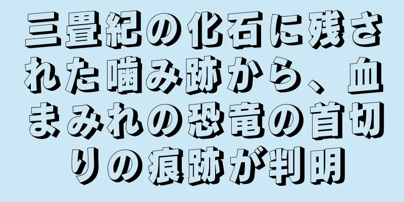 三畳紀の化石に残された噛み跡から、血まみれの恐竜の首切りの痕跡が判明
