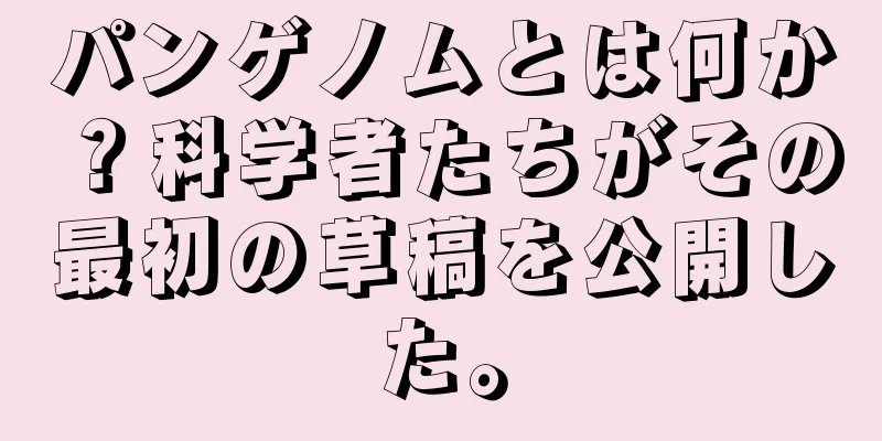 パンゲノムとは何か？科学者たちがその最初の草稿を公開した。