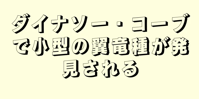 ダイナソー・コーブで小型の翼竜種が発見される