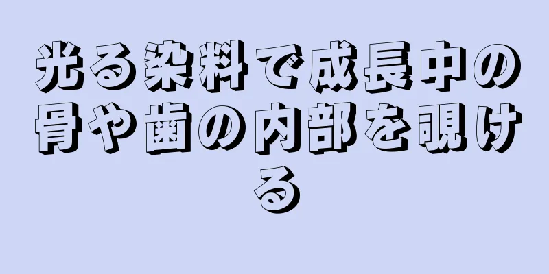 光る染料で成長中の骨や歯の内部を覗ける