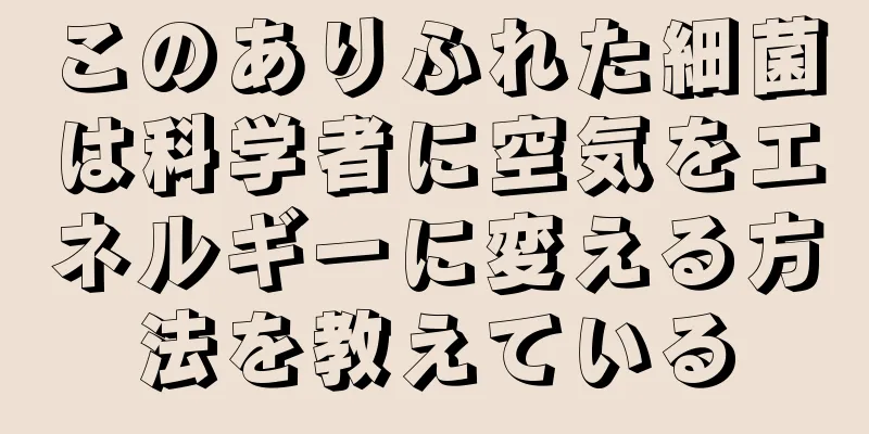 このありふれた細菌は科学者に空気をエネルギーに変える方法を教えている