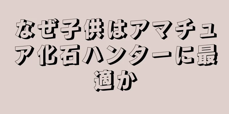 なぜ子供はアマチュア化石ハンターに最適か