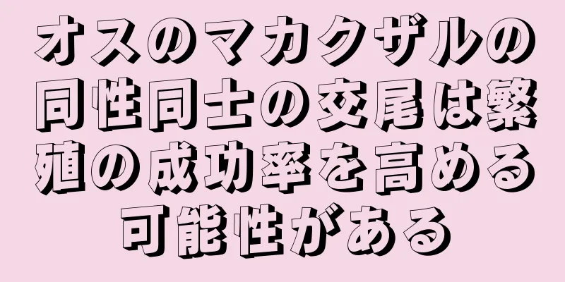オスのマカクザルの同性同士の交尾は繁殖の成功率を高める可能性がある