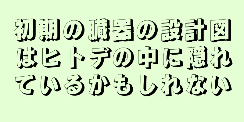 初期の臓器の設計図はヒトデの中に隠れているかもしれない