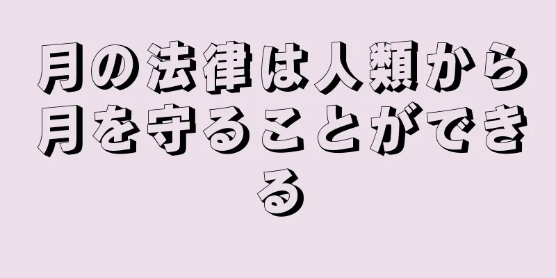 月の法律は人類から月を守ることができる
