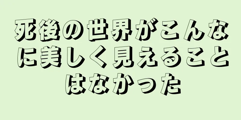 死後の世界がこんなに美しく見えることはなかった