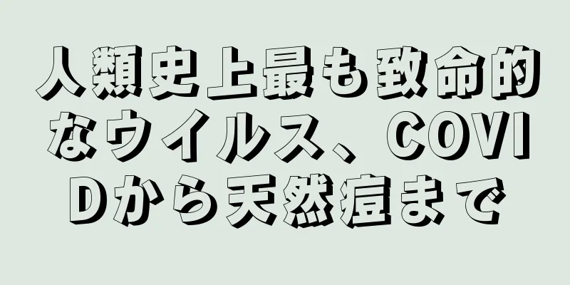 人類史上最も致命的なウイルス、COVIDから天然痘まで