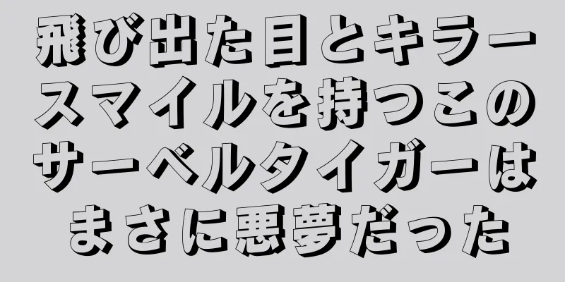 飛び出た目とキラースマイルを持つこのサーベルタイガーはまさに悪夢だった