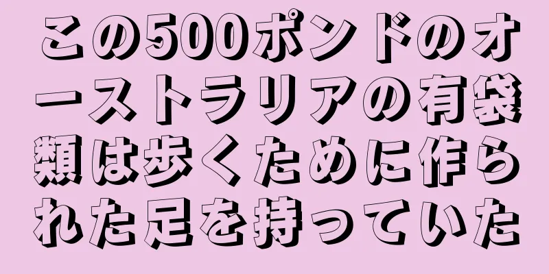 この500ポンドのオーストラリアの有袋類は歩くために作られた足を持っていた