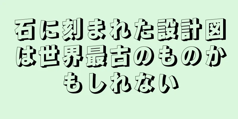 石に刻まれた設計図は世界最古のものかもしれない