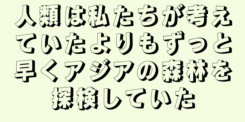人類は私たちが考えていたよりもずっと早くアジアの森林を探検していた