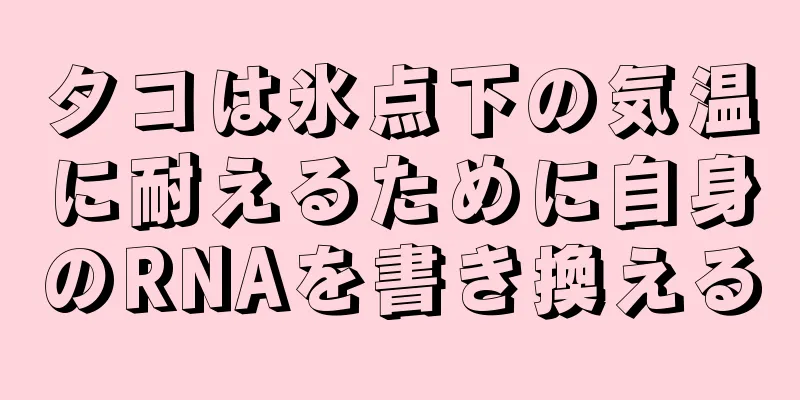 タコは氷点下の気温に耐えるために自身のRNAを書き換える