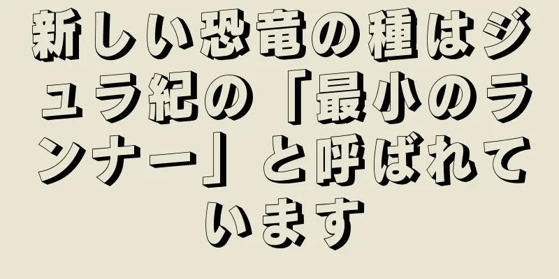 新しい恐竜の種はジュラ紀の「最小のランナー」と呼ばれています