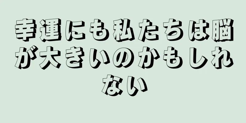 幸運にも私たちは脳が大きいのかもしれない