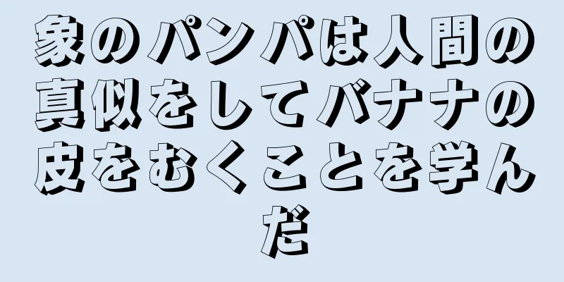 象のパンパは人間の真似をしてバナナの皮をむくことを学んだ