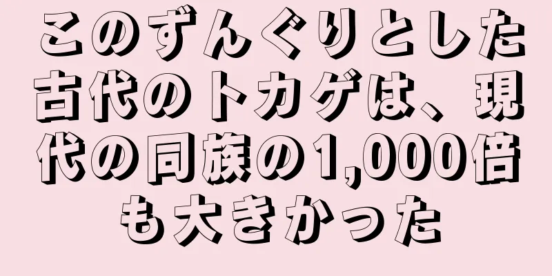 このずんぐりとした古代のトカゲは、現代の同族の1,000倍も大きかった