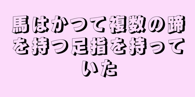 馬はかつて複数の蹄を持つ足指を持っていた
