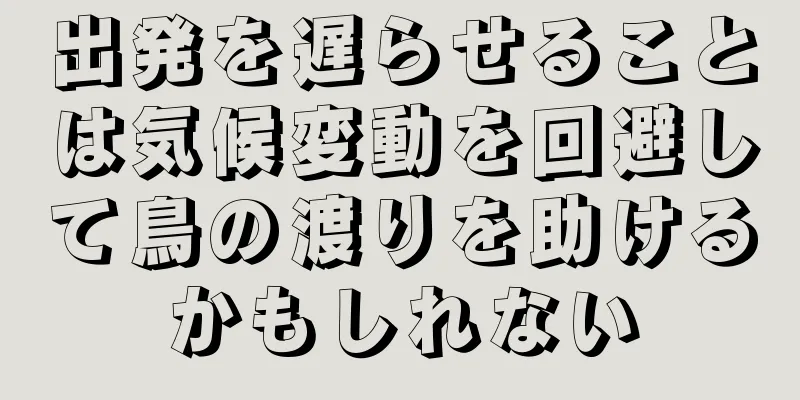 出発を遅らせることは気候変動を回避して鳥の渡りを助けるかもしれない