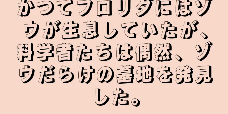 かつてフロリダにはゾウが生息していたが、科学者たちは偶然、ゾウだらけの墓地を発見した。