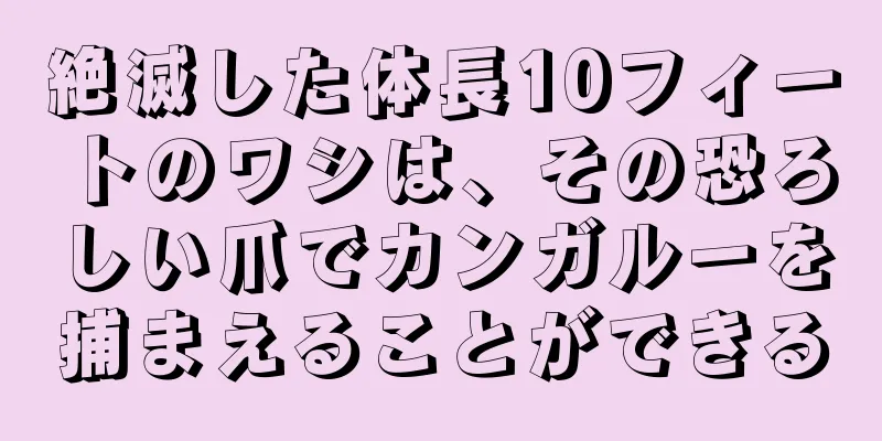 絶滅した体長10フィートのワシは、その恐ろしい爪でカンガルーを捕まえることができる