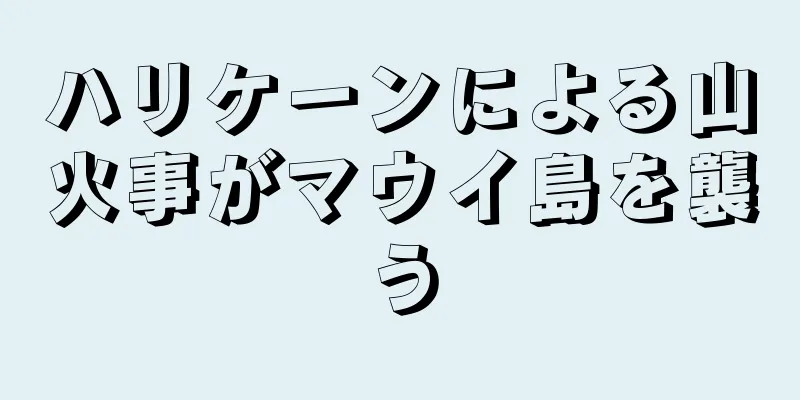 ハリケーンによる山火事がマウイ島を襲う