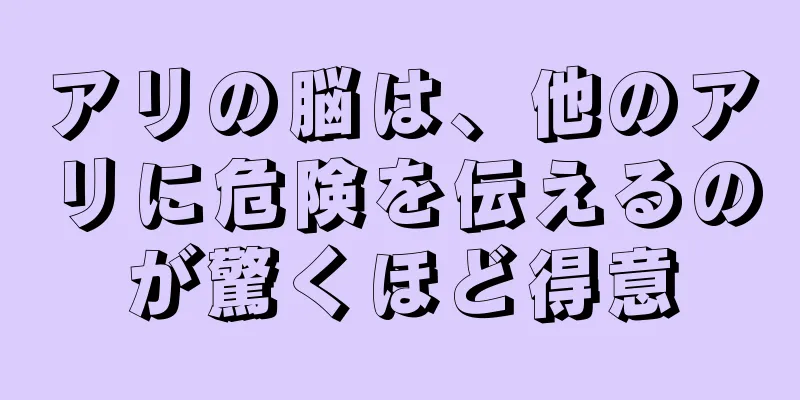 アリの脳は、他のアリに危険を伝えるのが驚くほど得意