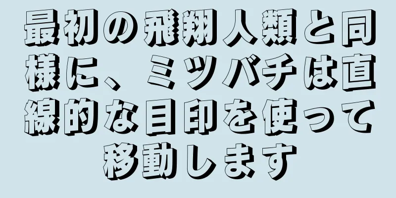 最初の飛翔人類と同様に、ミツバチは直線的な目印を使って移動します