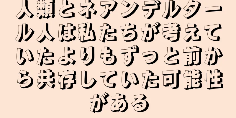 人類とネアンデルタール人は私たちが考えていたよりもずっと前から共存していた可能性がある