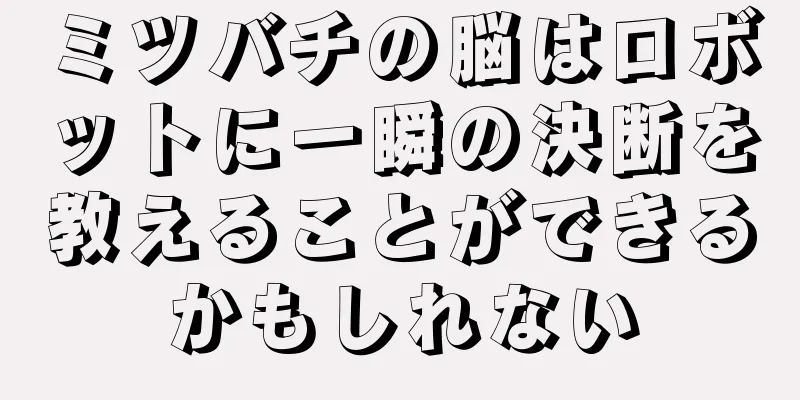 ミツバチの脳はロボットに一瞬の決断を教えることができるかもしれない