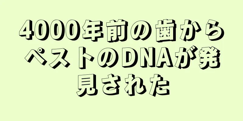 4000年前の歯からペストのDNAが発見された