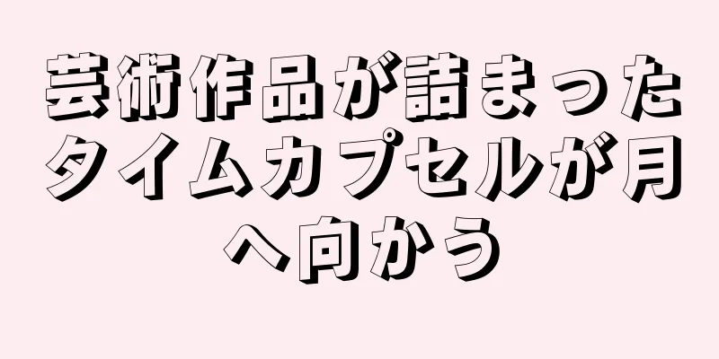 芸術作品が詰まったタイムカプセルが月へ向かう
