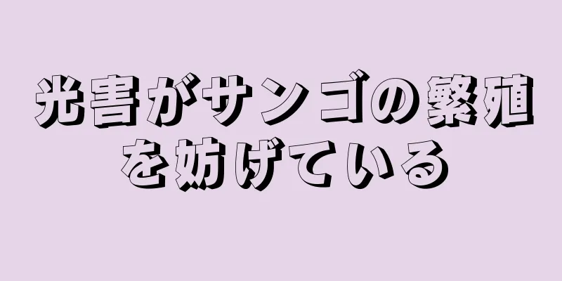 光害がサンゴの繁殖を妨げている
