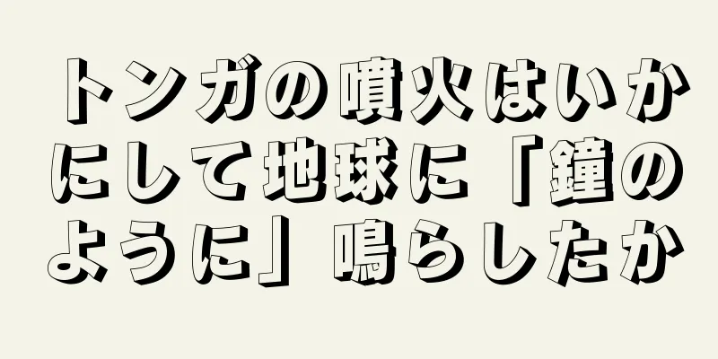 トンガの噴火はいかにして地球に「鐘のように」鳴らしたか