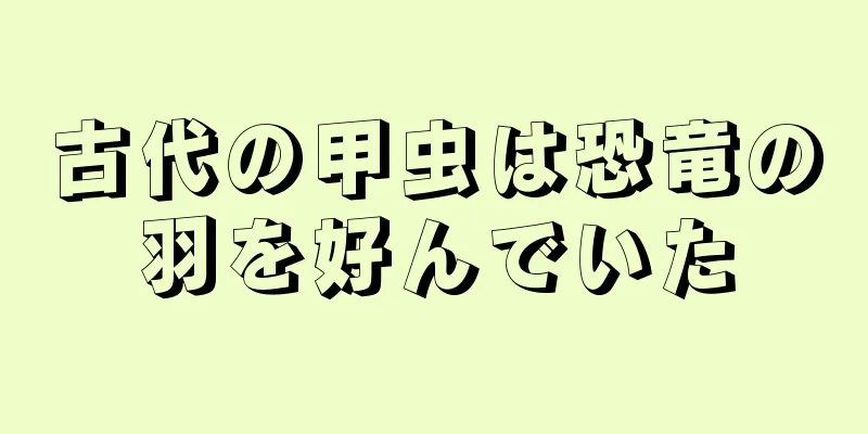 古代の甲虫は恐竜の羽を好んでいた