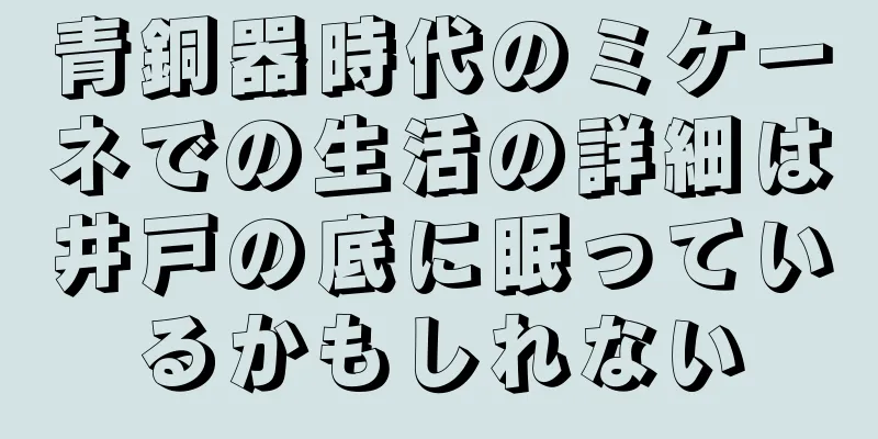 青銅器時代のミケーネでの生活の詳細は井戸の底に眠っているかもしれない