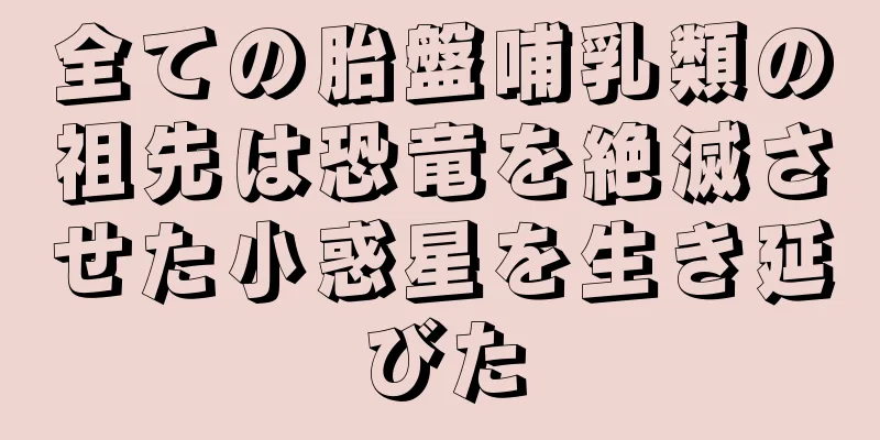 全ての胎盤哺乳類の祖先は恐竜を絶滅させた小惑星を生き延びた