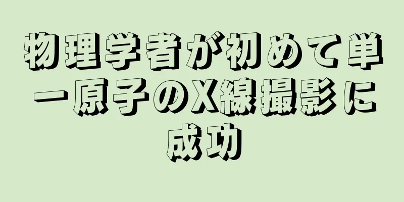 物理学者が初めて単一原子のX線撮影に成功