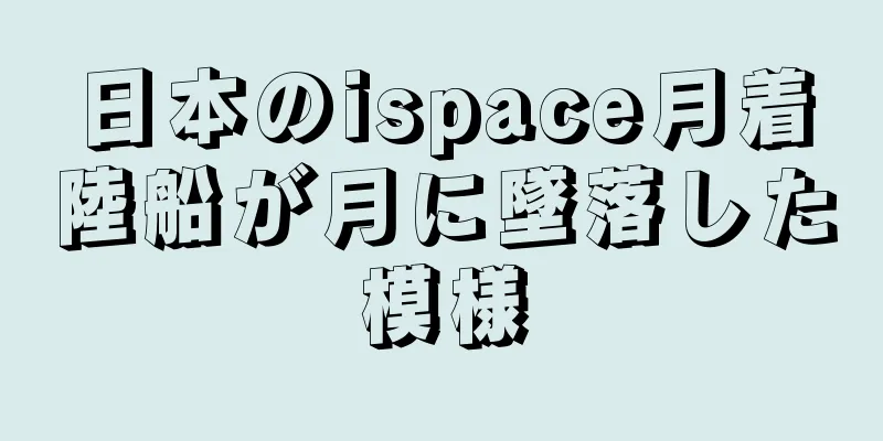 日本のispace月着陸船が月に墜落した模様
