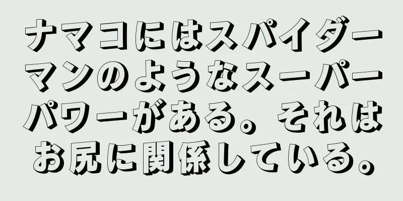 ナマコにはスパイダーマンのようなスーパーパワーがある。それはお尻に関係している。