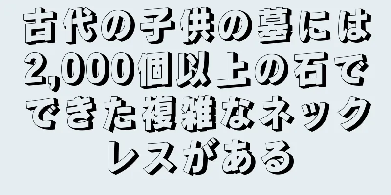 古代の子供の墓には2,000個以上の石でできた複雑なネックレスがある