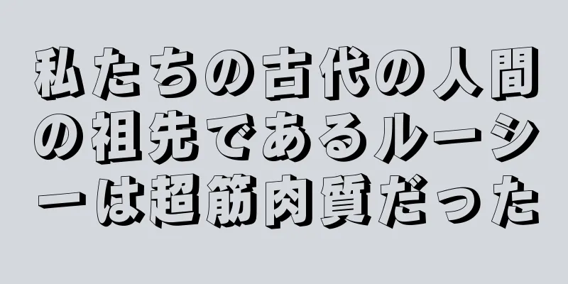 私たちの古代の人間の祖先であるルーシーは超筋肉質だった