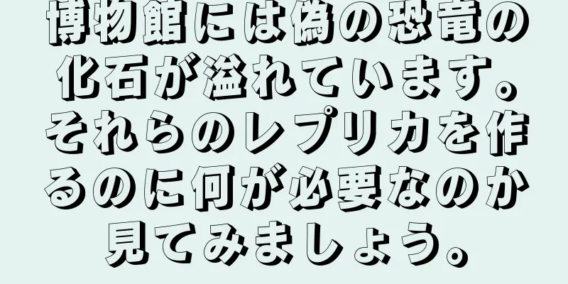 博物館には偽の恐竜の化石が溢れています。それらのレプリカを作るのに何が必要なのか見てみましょう。
