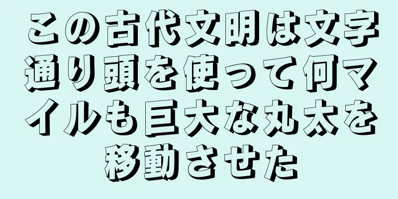 この古代文明は文字通り頭を使って何マイルも巨大な丸太を移動させた