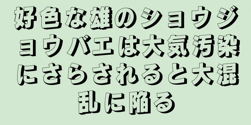 好色な雄のショウジョウバエは大気汚染にさらされると大混乱に陥る
