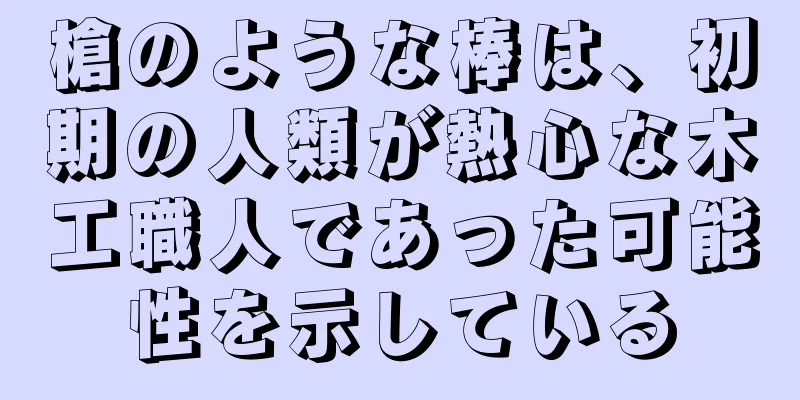 槍のような棒は、初期の人類が熱心な木工職人であった可能性を示している