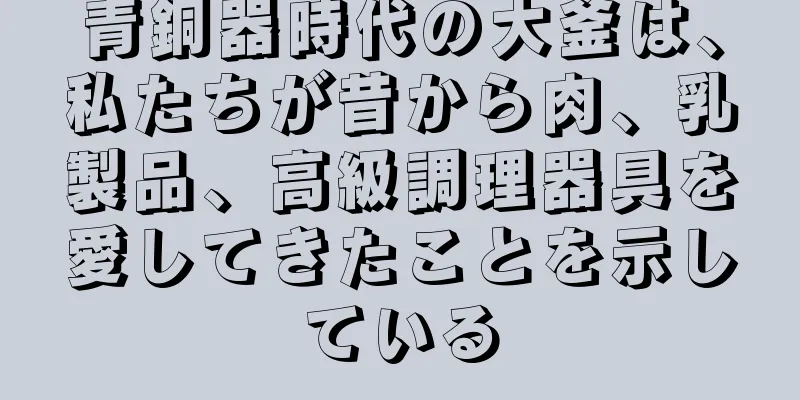 青銅器時代の大釜は、私たちが昔から肉、乳製品、高級調理器具を愛してきたことを示している
