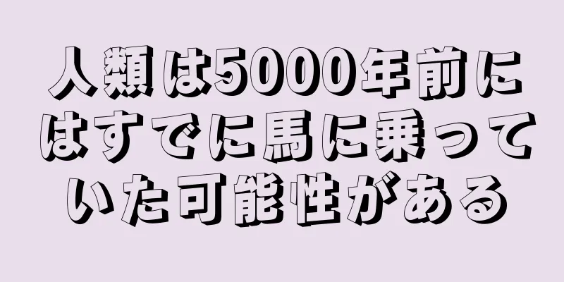 人類は5000年前にはすでに馬に乗っていた可能性がある