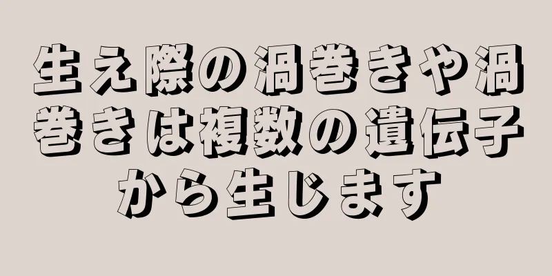 生え際の渦巻きや渦巻きは複数の遺伝子から生じます