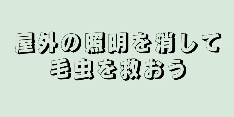 屋外の照明を消して毛虫を救おう